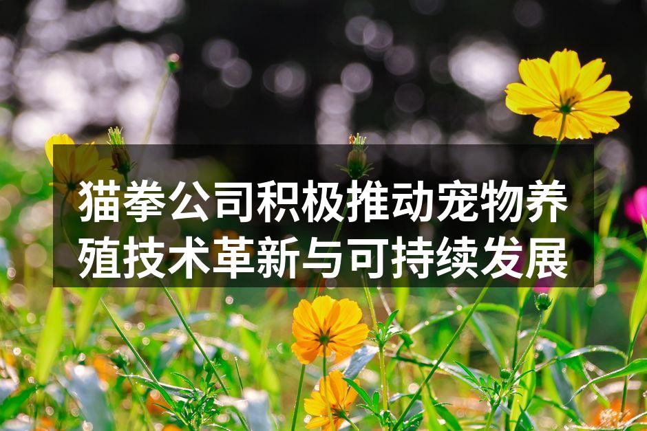 猫拳公司积极推动宠物养殖技术革新与可持续发展
