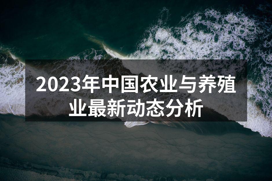 2023年中国农业与养殖业最新动态分析
